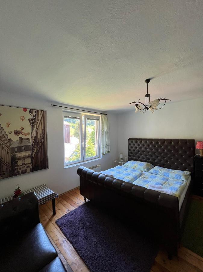 Dedinky Lakeview Cottage المظهر الخارجي الصورة